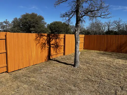 Stained cedar privacy fence enclosing a back yard around a mature oak