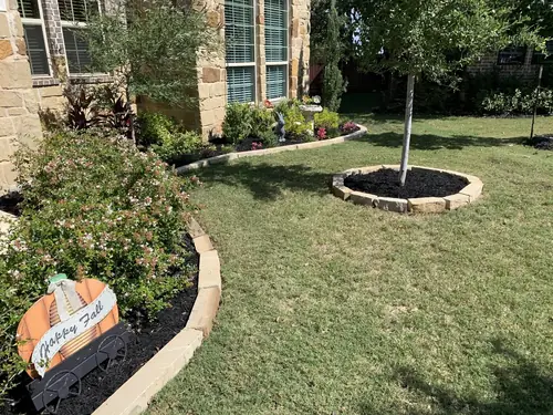 Stone-edged planting beds and a stone tree ring in a landscaped front yard
