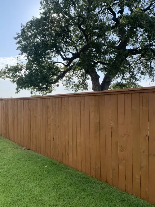 Freshly stained privacy fence running beside a lawn under a live oak